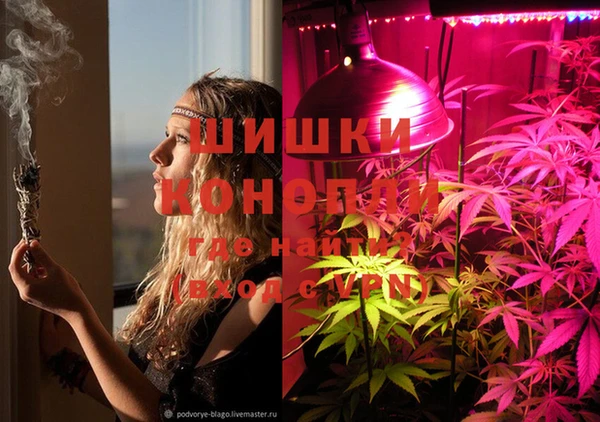 спайс Алексин