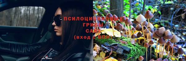 спайс Алексин