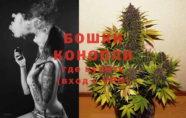 PSILOCYBIN Алексеевка
