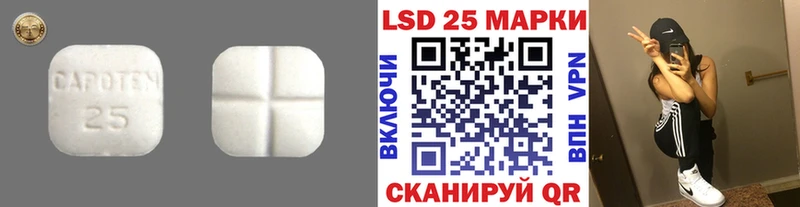 блэк спрут ССЫЛКА  Покров  Лсд 25 экстази кислота 