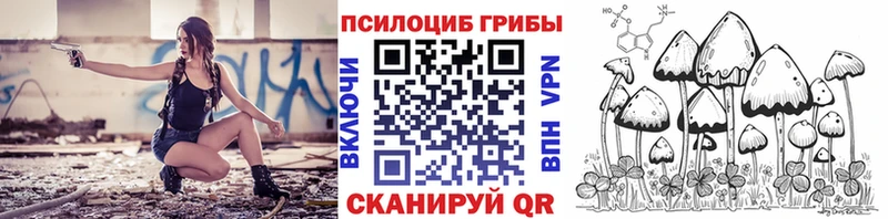 маркетплейс состав  Покров  Псилоцибиновые грибы прущие грибы 